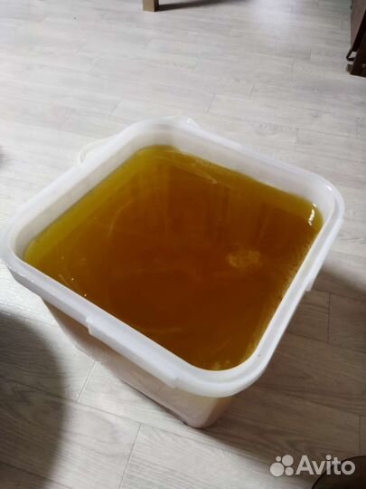 Липовый мед со своей пасеки сбор 2023