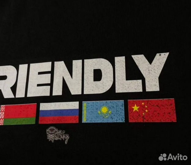 Худи friendly Tommy Sinny