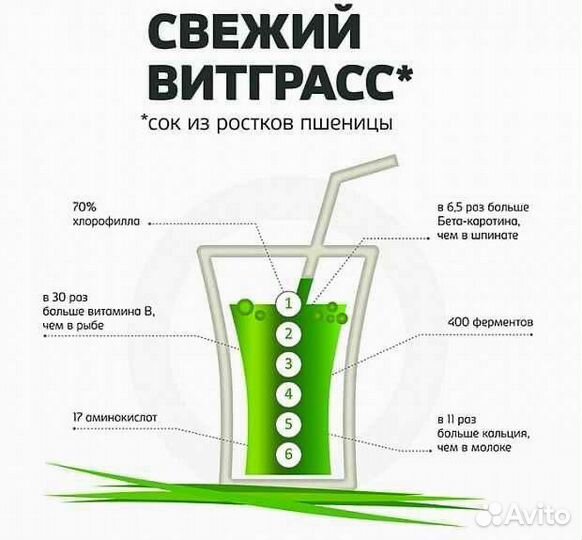 Витграсс - Природный энергетик
