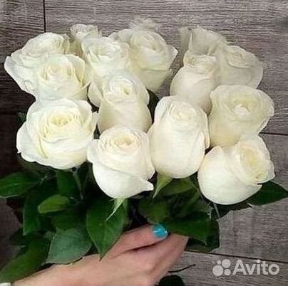 Высокие Розы с Доставкой