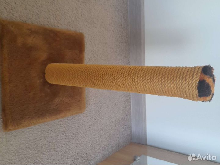 Когтеточка