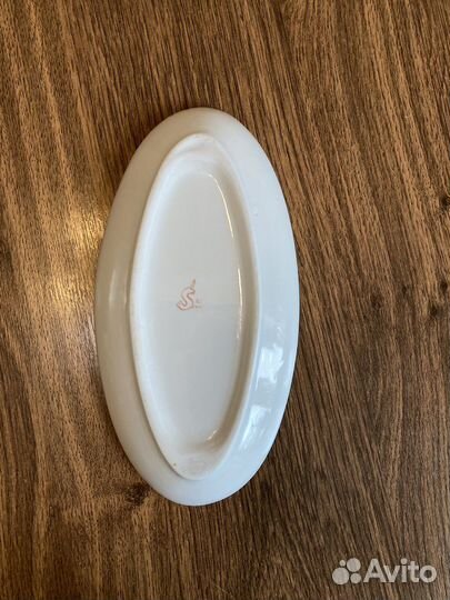 Селедочница хайта