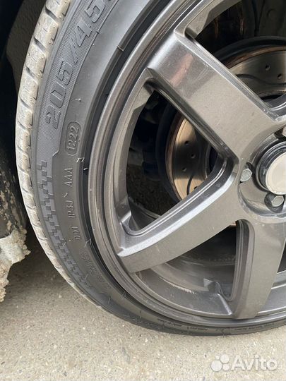 Дики на весту