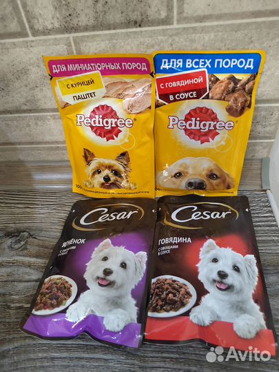 Влажный корм для кошек Felix, Purina one, gourmet