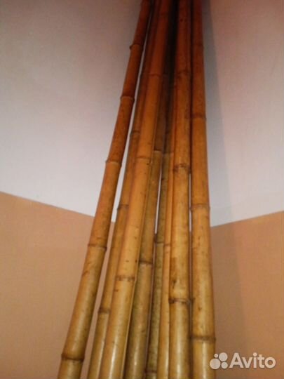 Стволы бамбука длина 4 м для декоративной отделки