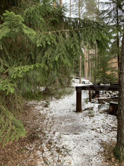 Участок 9 сот. (СНТ, ДНП)