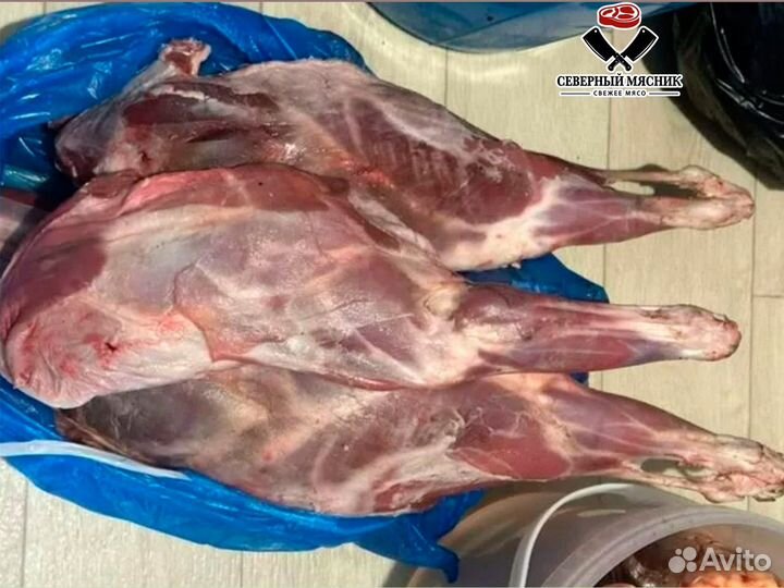 Мясо баранина тушка
