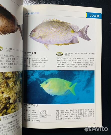Книги на японском языке о рыбах и рыбалке