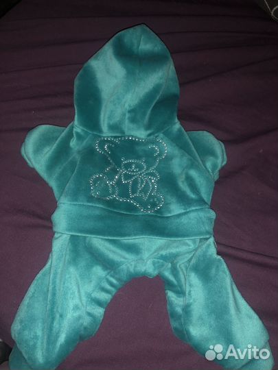 Одежда для собак