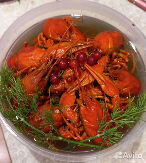 Живые и вареные раки