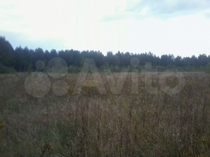 Участок 5,97 га (СНТ, ДНП)