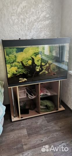 Аквариум с тумбой 300 литров