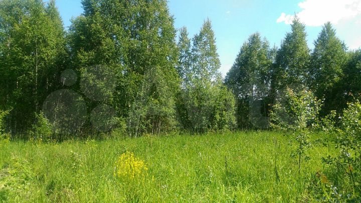 Участок 14 сот. (СНТ, ДНП)