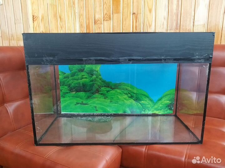 Аквариум