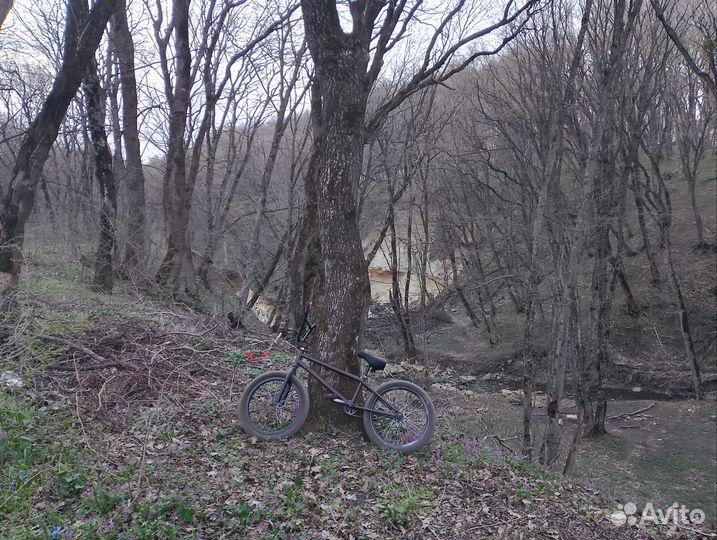 Трюковой велосипед бмх