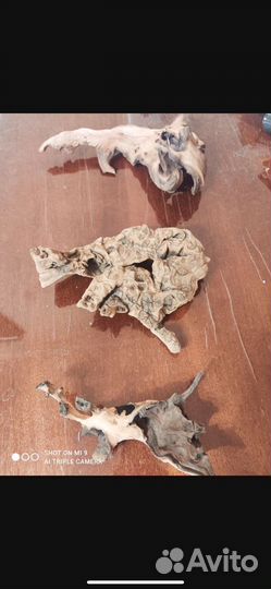 Коряги для аквариума