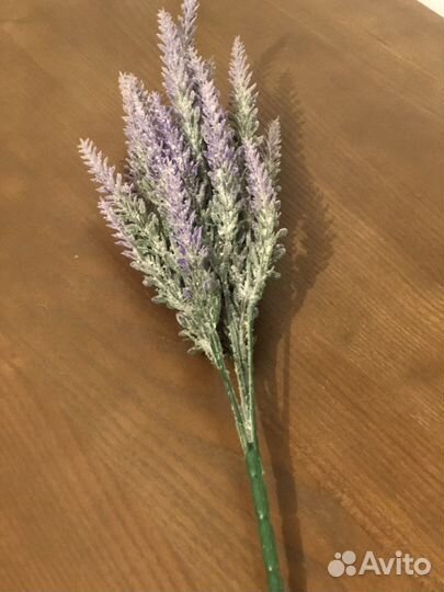 Веточка лаванды декоротивной