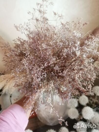 Цветы сухоцветы