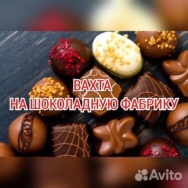 Вахта шоколадная фабрика Москва жилье питание