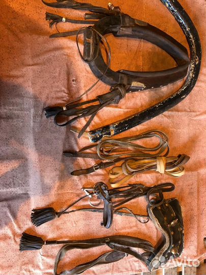 Сбруя для лошади