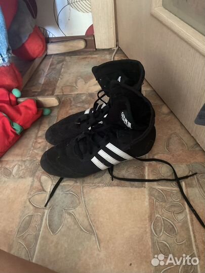 Боксерки adidas box hog 2