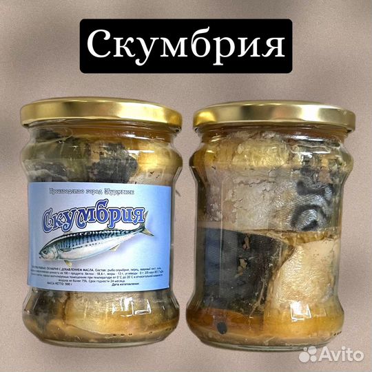 Скумбрия