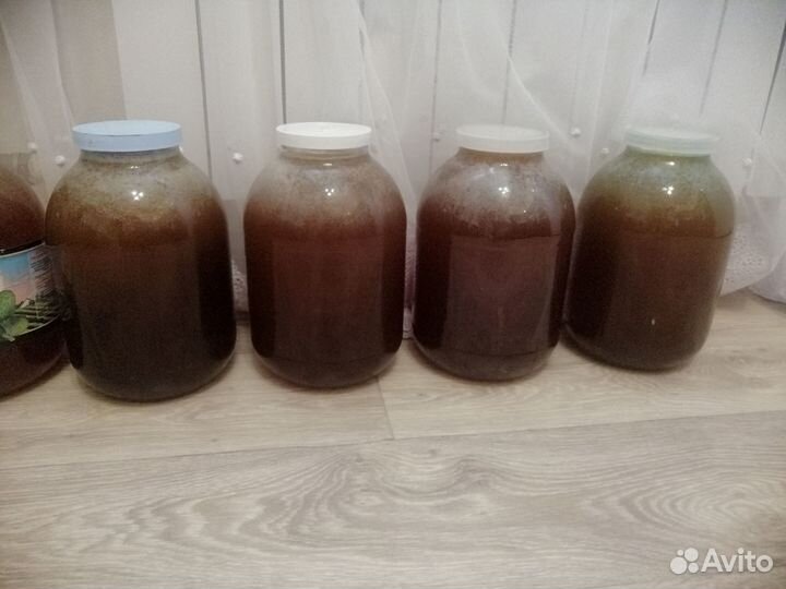 Свежий мед урожай 2023, мед в сотах, забрус