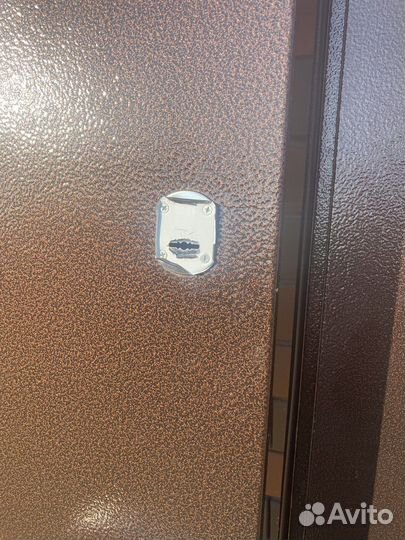 Дверь входная металлическая. Для частного дома