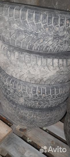 Formula Ice 195/65 R15