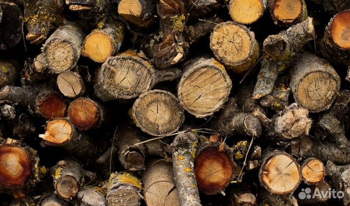 Дрова осина ольха береза