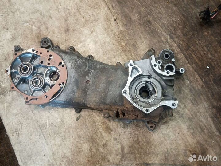 Кортер Honda lead af 48