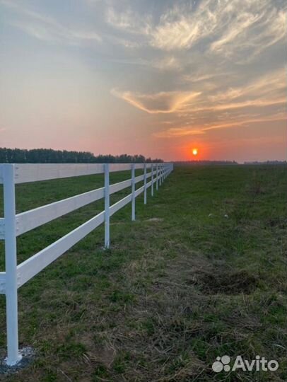 Верховая езда (прогулки и обучение)