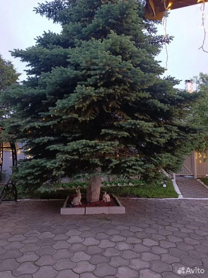 Дом 110 м²