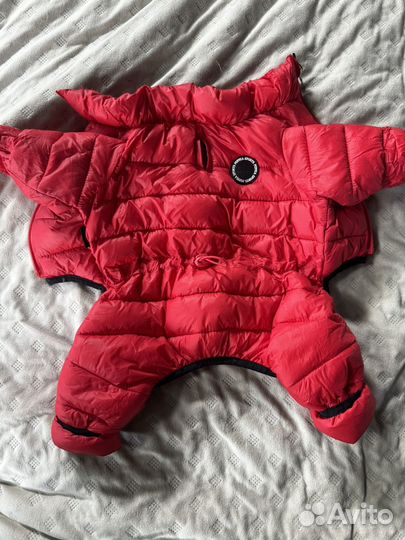 Зимний комбинезон для собаки