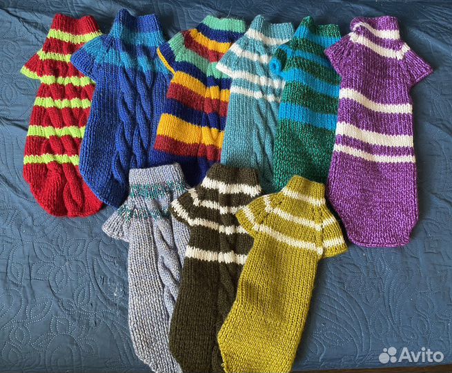 Одежда для собак