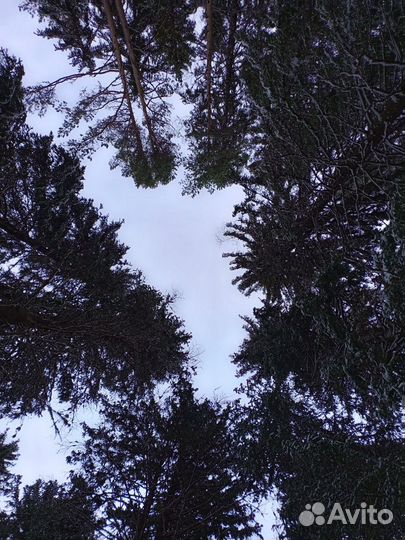 Тур в Карелию всё включено