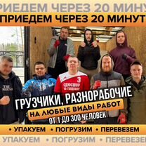 Грузчики Разнорабочие Такелажники, Черусти