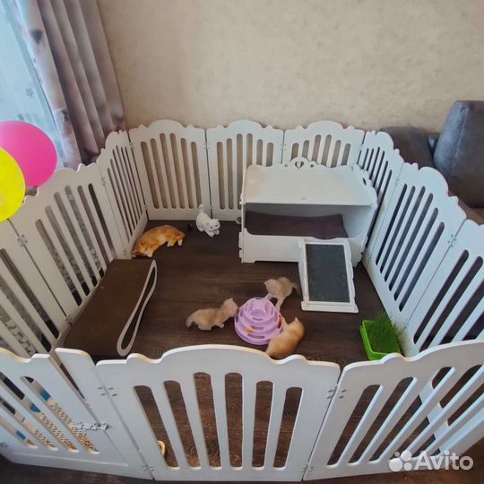 Вольер для питомцев