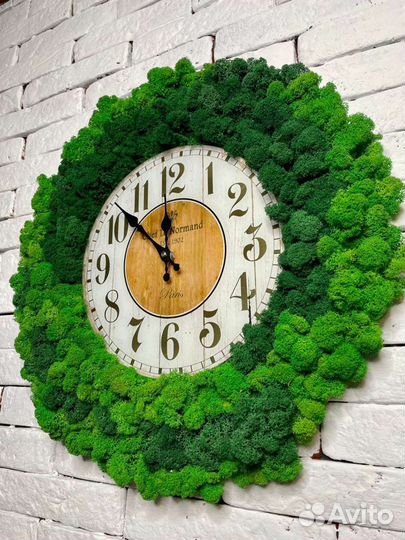 Мох стабилизированный