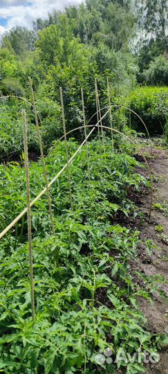 Опоры (колышки) для растений. Дуги для сетки