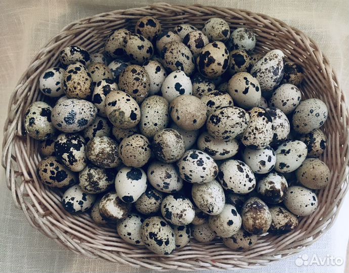 Яйца перепелиные домашние с доставкой