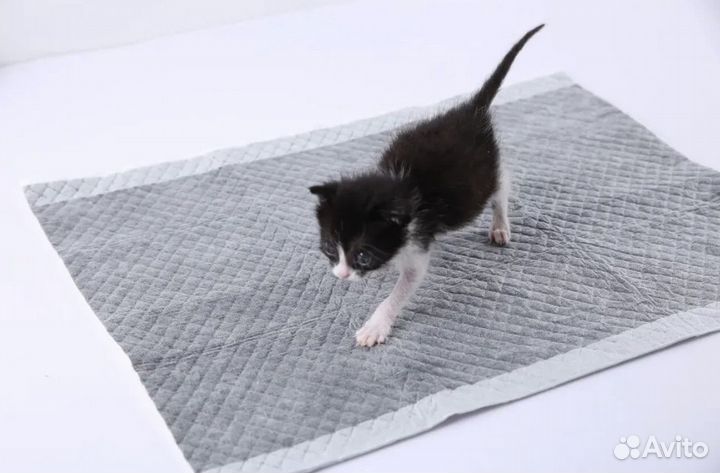 Пелёнка для собак petkit, 52х39см, 50шт/уп