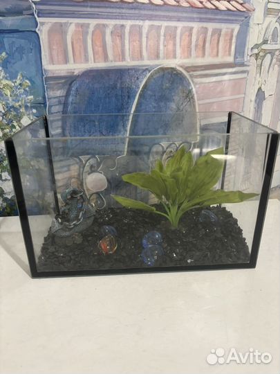 Аквариум