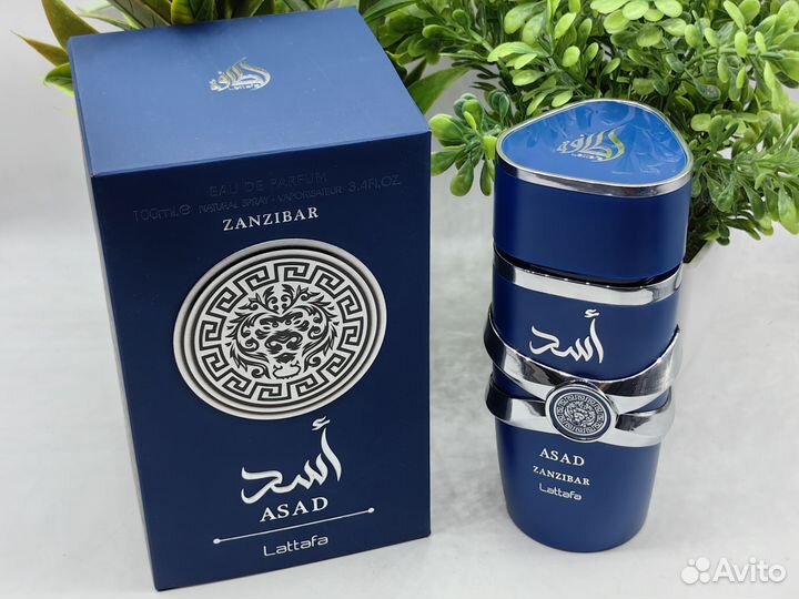 Lattafa asad Zanzibar оригинал