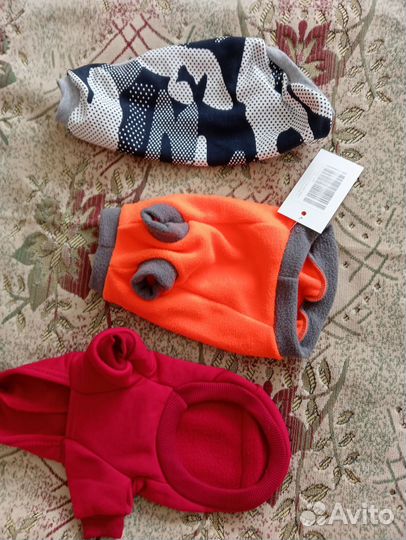 Кошачья одежда