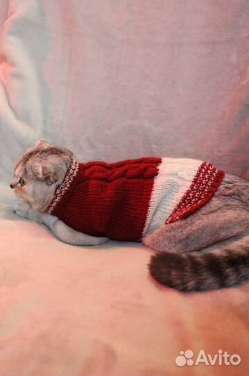 Свитер для собачек и кошек