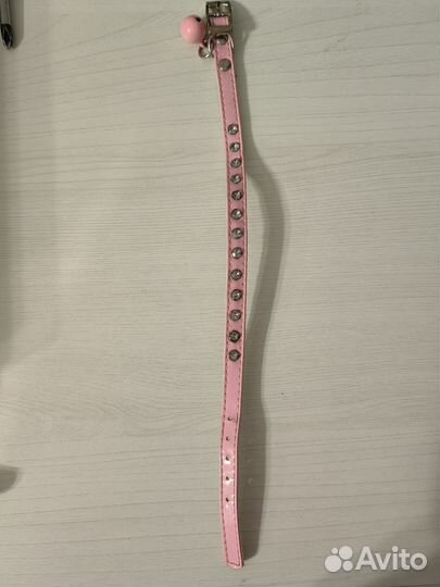 Ошейники, трусики для собак