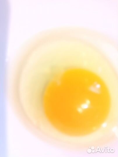 Яйца с деревни, доставка до подъезда