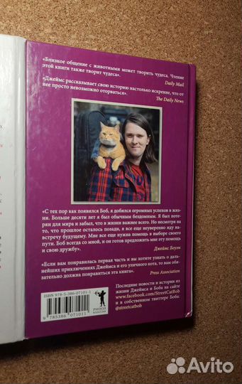 Уличный кот по имени Боб и Мир глазами кота Боба