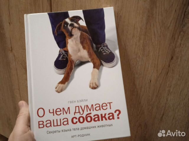 Гвен Бэйли О чем думает ваша собака